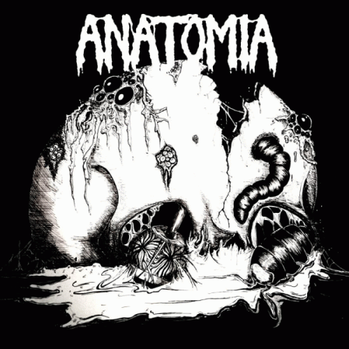 Anatomia : Decomposing Cadavers